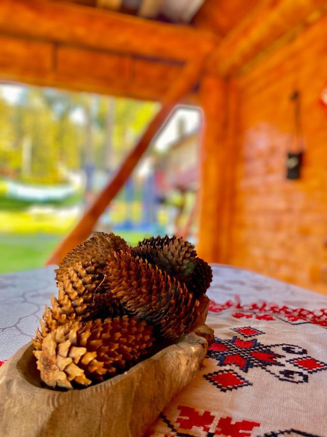 فندق Cabana Ancuta فارتوب المظهر الخارجي الصورة